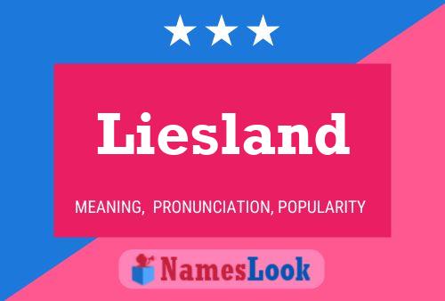 Liesland Naam Poster