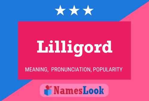 Lilligord Naam Poster