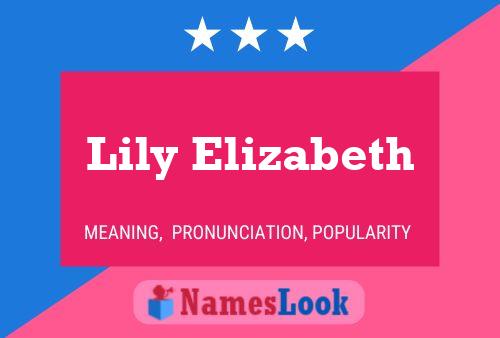 Lily Elizabeth Naam Poster