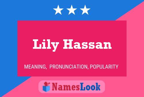 Lily Hassan Naam Poster