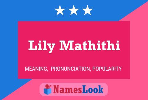 Lily Mathithi Naam Poster