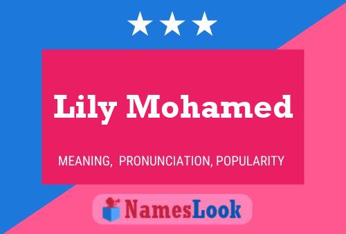 Lily Mohamed Naam Poster