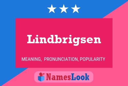 Lindbrigsen Naam Poster