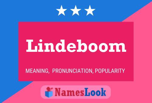 Lindeboom Naam Poster