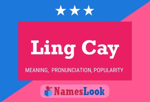 Ling Cay Naam Poster