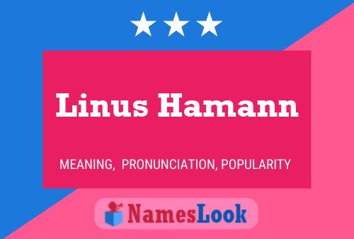 Linus Hamann Naam Poster