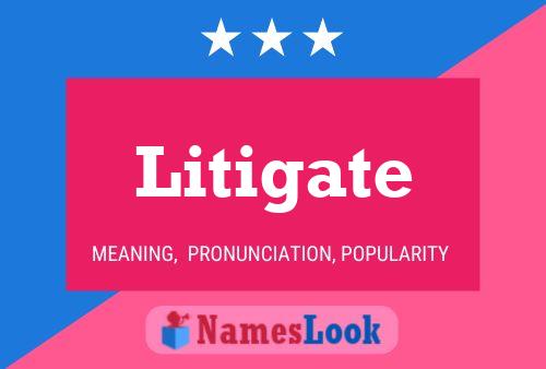 Litigate Naam Poster