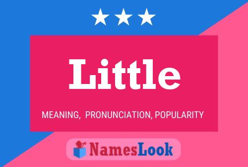 Little Naam Poster