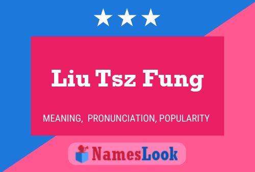 Liu Tsz Fung Naam Poster