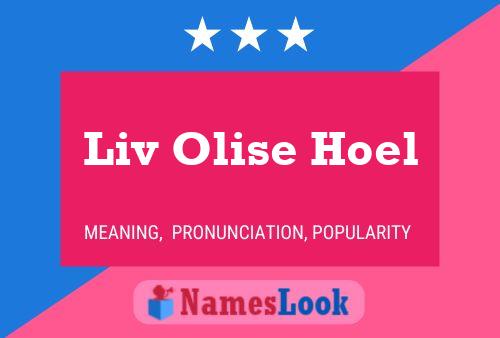 Liv Olise Hoel Naam Poster