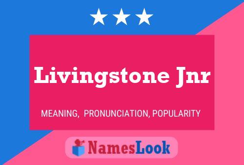 Livingstone Jnr Naam Poster