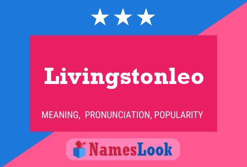 Livingstonleo Naam Poster