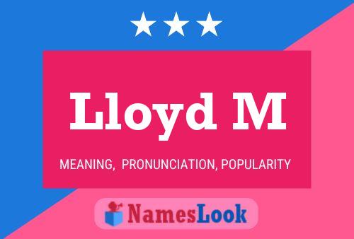 Lloyd M Naam Poster