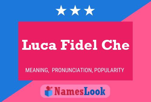 Luca Fidel Che Naam Poster