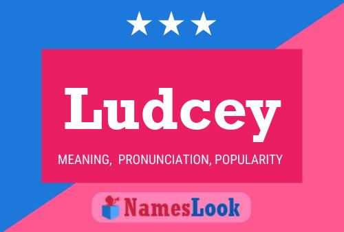 Ludcey Naam Poster