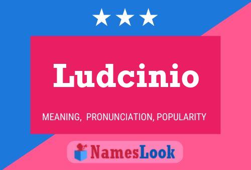 Ludcinio Naam Poster