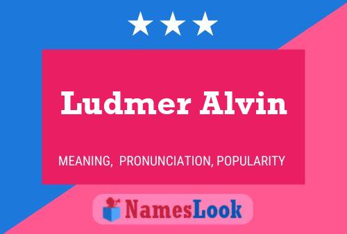 Ludmer Alvin Naam Poster