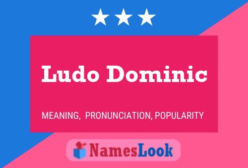 Ludo Dominic Naam Poster