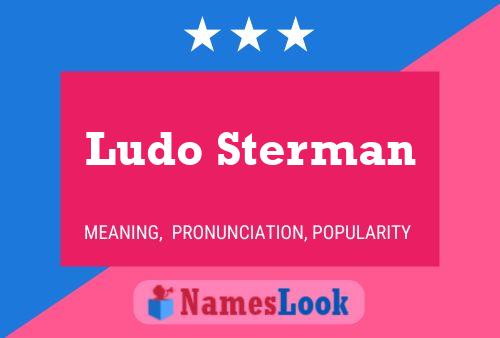 Ludo Sterman Naam Poster