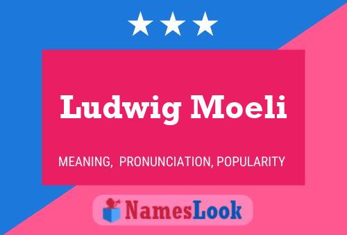 Ludwig Moeli Naam Poster