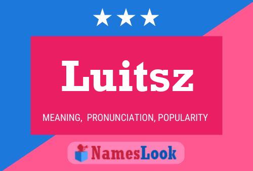 Luitsz Naam Poster