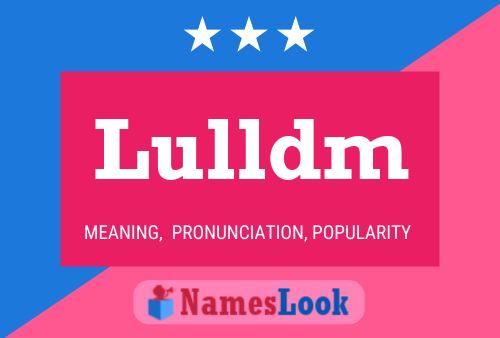 Lulldm Naam Poster