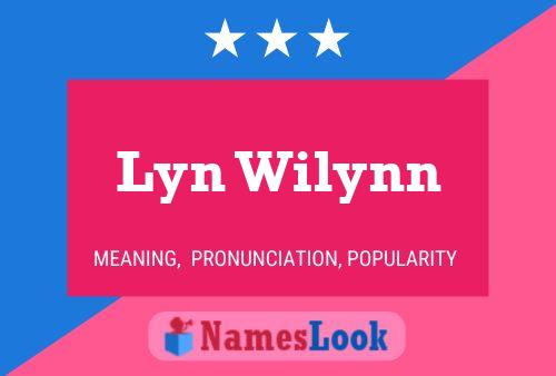 Lyn Wilynn Naam Poster