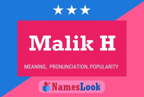 Malik H Naam Poster