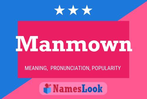 Manmown Naam Poster