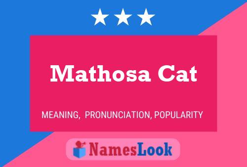 Mathosa Cat Naam Poster