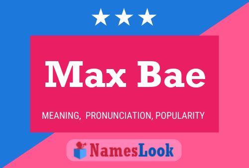 Max Bae Naam Poster