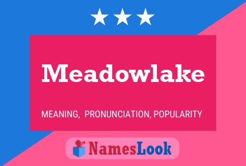 Meadowlake Naam Poster