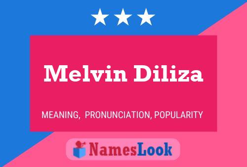 Melvin Diliza Naam Poster