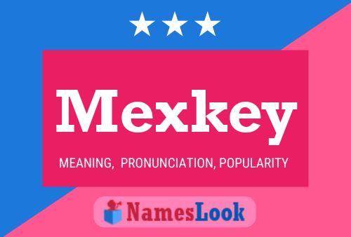 Mexkey Naam Poster