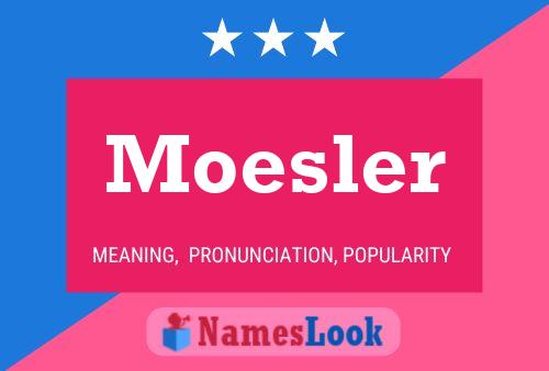 Moesler Naam Poster