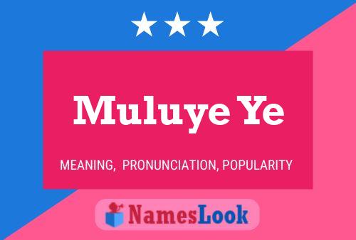 Muluye Ye Naam Poster