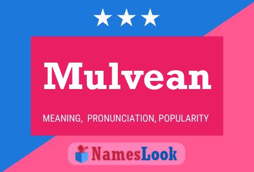 Mulvean Naam Poster