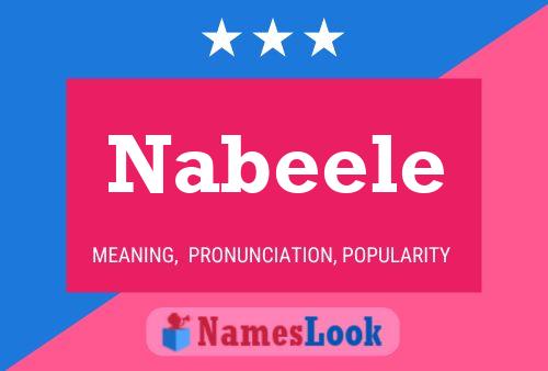 Nabeele Naam Poster