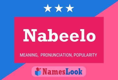 Nabeelo Naam Poster