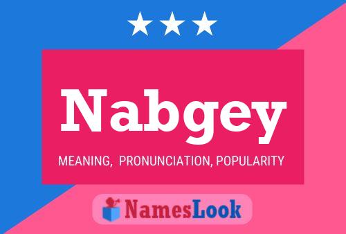 Nabgey Naam Poster