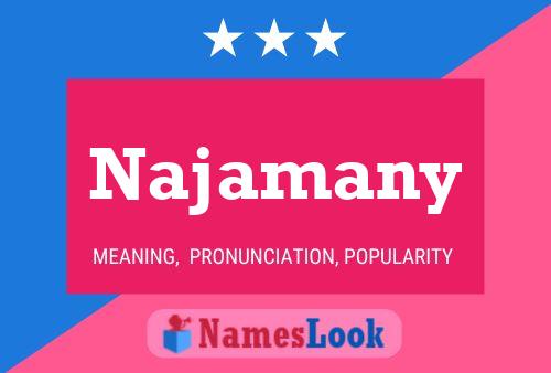 Najamany Naam Poster