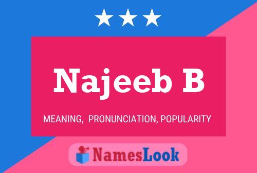 Najeeb B Naam Poster