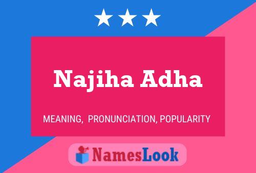 Najiha Adha Naam Poster