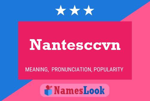 Nantesccvn Naam Poster