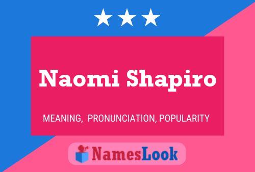 Naomi Shapiro Naam Poster