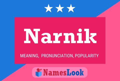 Narnik Naam Poster