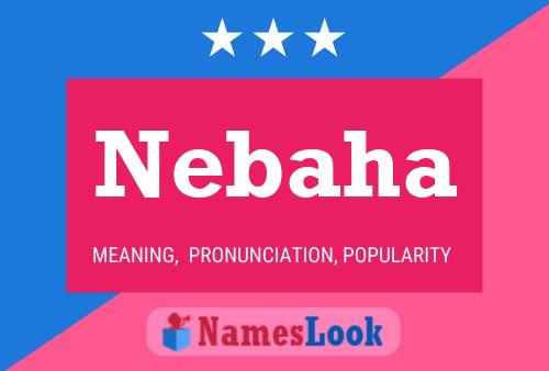 Nebaha Naam Poster