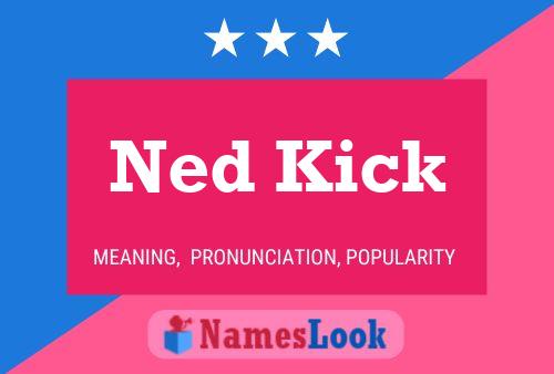 Ned Kick Naam Poster