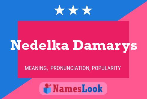 Nedelka Damarys Naam Poster