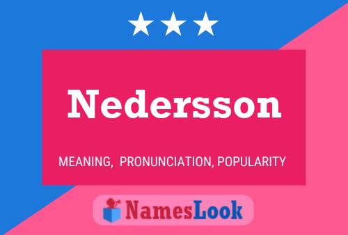 Nedersson Naam Poster